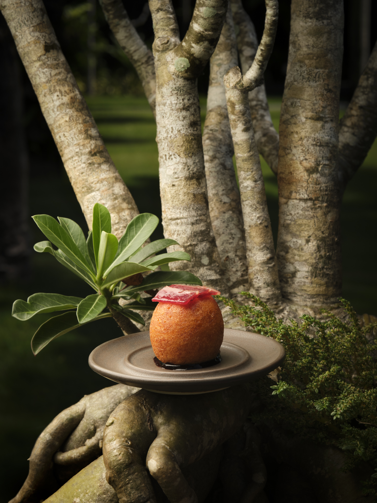 Our Duck Donut from our Tasting Menu