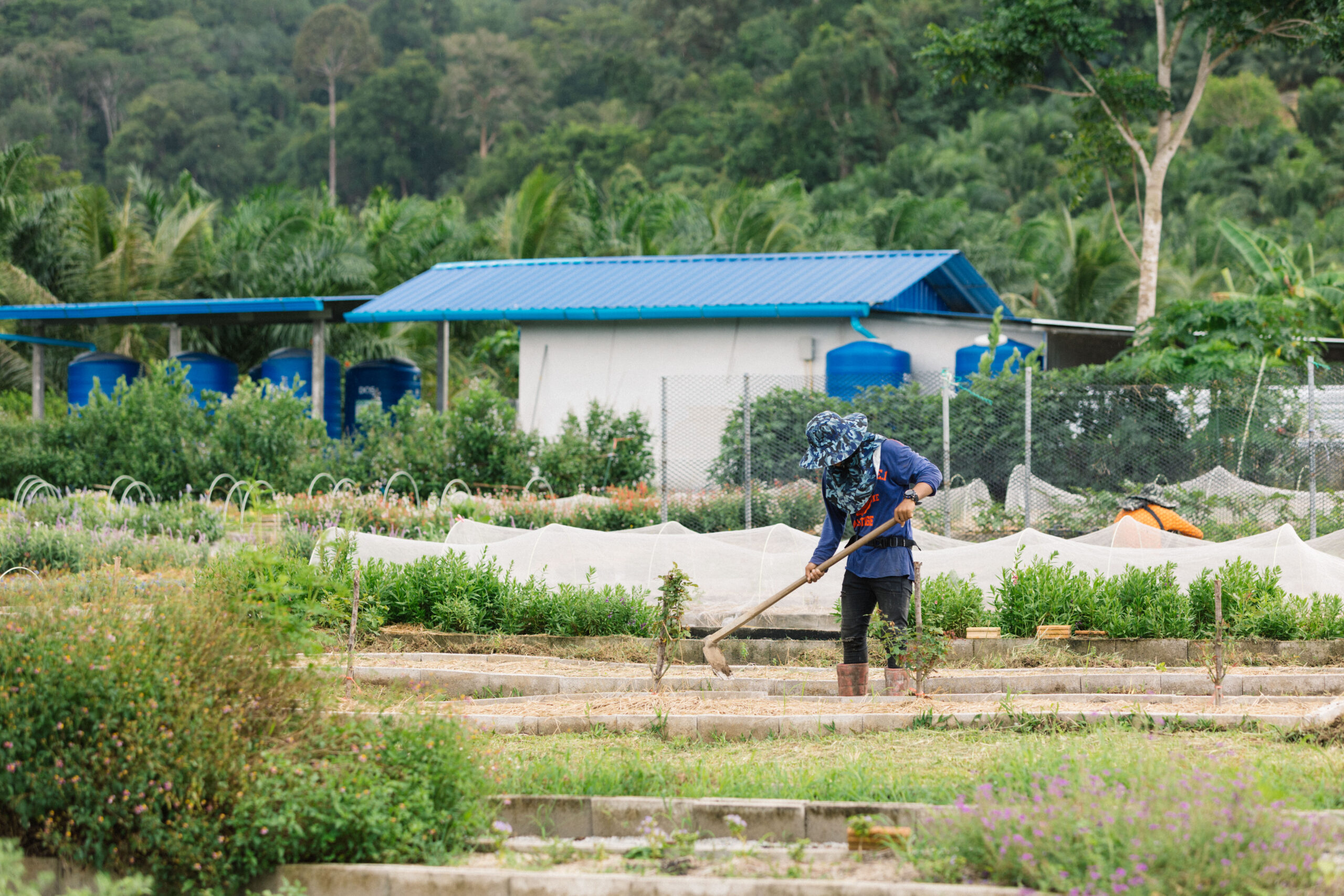 A New Partnership with Katian Farm